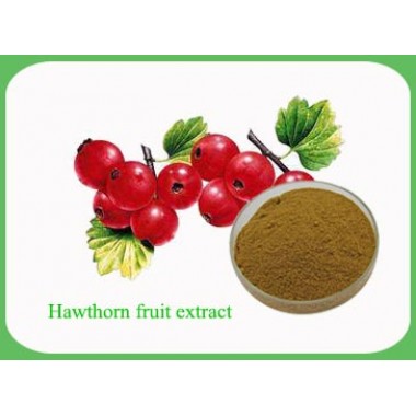 Hawthorn fruit Extract