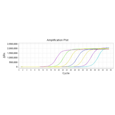 Diagnostic Kit for Influenza A(A-type) virus& Influenza B(B-type) virus (Fluorescence probe RT-PCR)