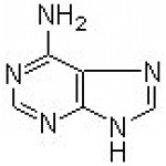 Adenine