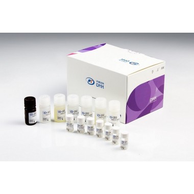 Dynamiker Aspergillus Galactomannan Assay