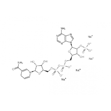 NADPH (Reduced Coenzyme-Ⅱ)