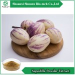 Sapodilla Powder Extract Ginsenoside 30%-70%