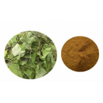 Pure Natural Epimedium extract