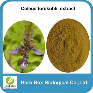 Coleus Forskohlii Extract