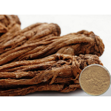Dong Quai (Angelica) Extract