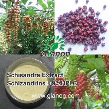 Schisandra Extract