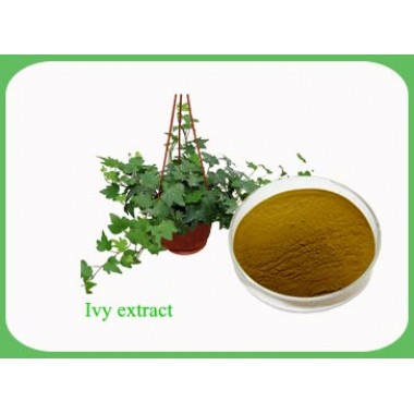 Ivy Extract