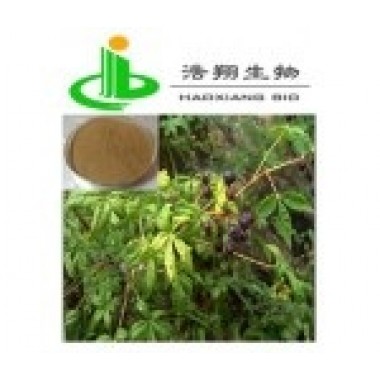 Siberian ginseng P,E