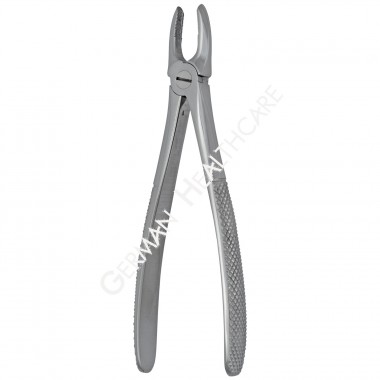 #1 ANATOMIC TOOTH FORCEPS, ENGLISH PATTER