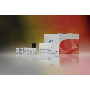 Dynamiker Cryptococcus neoformans Antigen Assay