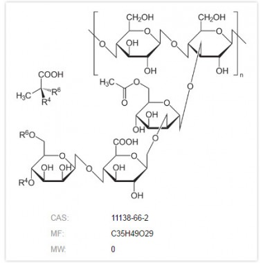 Xanthan Gum