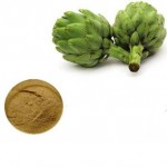 Artichoke Extract