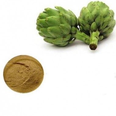 Artichoke Extract