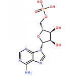 Adenosine 5'-monophosphate