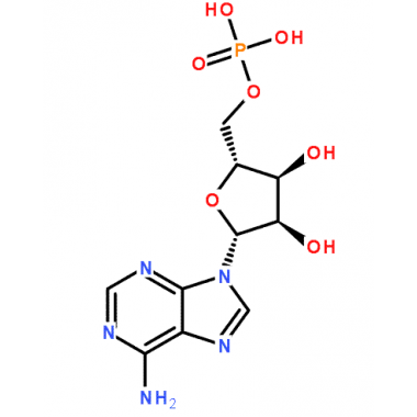 Adenosine 5'-monophosphate