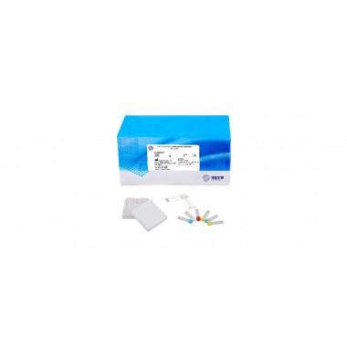 CapitalBio Thalassemia Gene Mutations Detection Kit