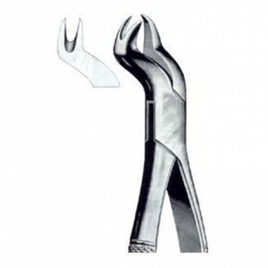 Extracting Forceps