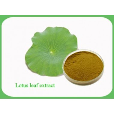 Lotus Leaf Extract