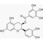 Epicatechin gallate