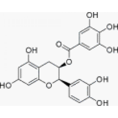 Epicatechin gallate